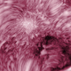 Illustration for article titled Can You Figure Out This Mystery Image?